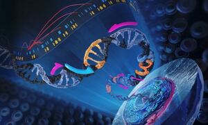 An illustration of single-cell RNA sequencing (scRNA-seq)
