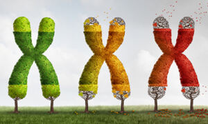 Genetics of ageing
