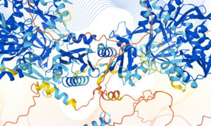 Protein structures representing the data obtained via AlphaFold
