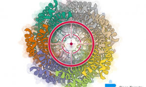 Artist's impression of the proteasome targeting proteins for degradation.
