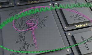 Artist's impression of R2DT software for RNA structures
