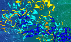A protein structure
