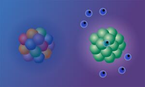 Immune cells targeting a tumour