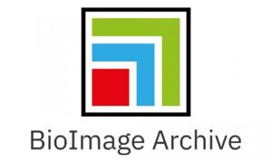 BioImage Archive logo
