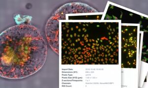 Image Data Resource samples
