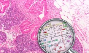 Artist's impression of metabolic models. Credit: Spencer Phillips, EMBL-EBI
