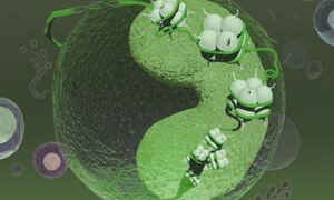 Artist's interpretation of the human epigenome.
