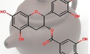ChEBI entity: (–)-epigallocatechin 3-gallate (EMBL-EBI)
