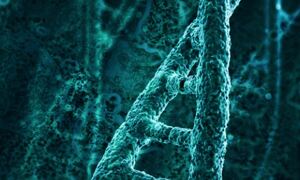 Double helix stock image

