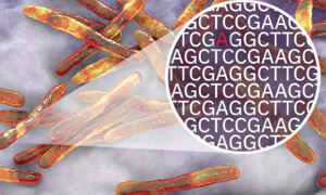 Drug resistance mutations in M. tuberculosis
