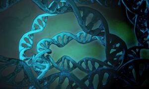 Artist's impression of the dark genome
