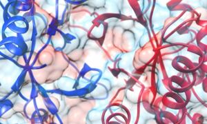Domain atrophy - Bateman and Prakash
