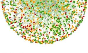 Detail of E. coli interactome

