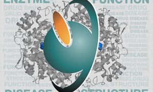 Enzyme portal logo
