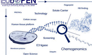 Illustration showing the the links between chemical probes and human tissue
