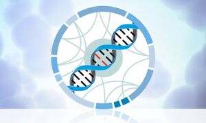 European Variation Archive news
