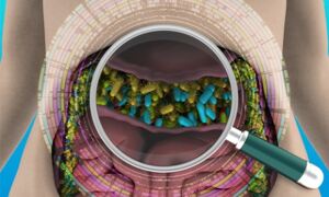 Artist's impression of the human gut ecosystem and its diversity
