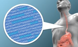 Human silhouette showing internal organs including oesophagus and stomach. 
Circle with DNA bases A,T, C and G superimposed.
