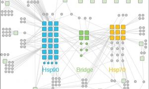 The Human Proteostasis network, by Taipale et al
