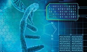 Artist's impression of the research. Credit: Holly Joynes, Rayne 
Zaayman-Gallant/EMBL; Adobe Stock
