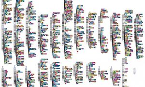 GWAS catalog

