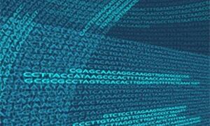 Ensembl release 76

