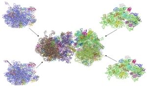 wwPDB accepts large protein structures
