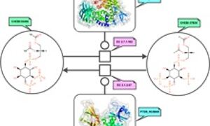 Mapping metabolism (EMBL-EBI)
