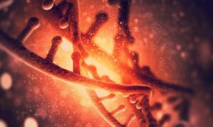 Early embryonic development study by Marioni, Gottgens in Nature, 2016

