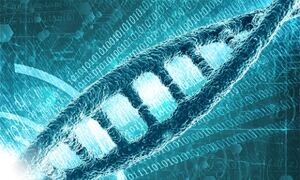 mSet makes large-scale genome analysis made easier

