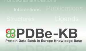 PDBe-KB logo on gradient background
