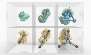 Periodic Table of Protein Complexes | EMBL-EBI
