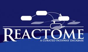 Reactome: A resource for molecular reactions
