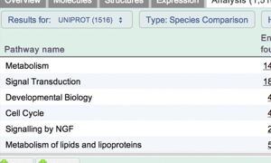 Pathway analysis portal
