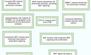 Reactome: new pathways in release 49
