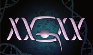 Geuvadis RNA seq study

