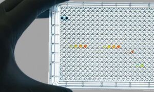 Large CRISPR screen prioritises hundreds of promising genes for personalised 
cancer treatment
