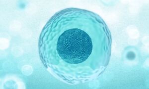 Graphic representation of single cell
