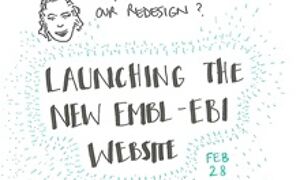 Sketchnotes by Francis Rowland
