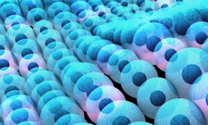 Artist's impression of single cells map
