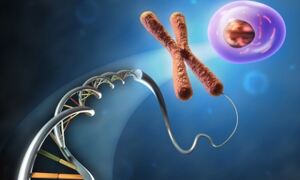 SpatialDE: New single-cell sequencing analysis method to combine gene 
expression data and spatial data to redefine tissue identity. Credit: Andrea 
Danti / Adobe Stock
