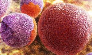 Single cells and DNA
