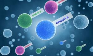 A snapshot of stem cell expression [IMAGE: EMBL-EBI/Spencer Phillips]
