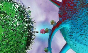 TraCeR: a new approach to single-cell genomics
