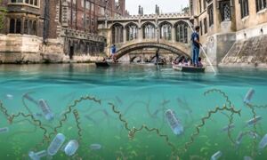 Image of Brige of Sighs in Cambridge, UK, with animated microbes in the river 
water.
