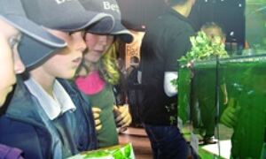 Children marveling at mutants of Medaka and Zebrafish
