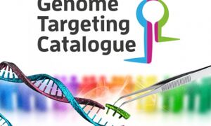 DNA strand with giant tweezers to symbolise CRISPR and genome editing 
techniques
