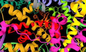 Cryo-EM structure of the BRCA1-UbcH5c/BARD1 E3-E2 module bound to a 
nucleosome.
