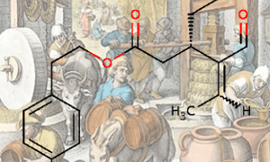 Olive oil production and the structure of oleocanthal
