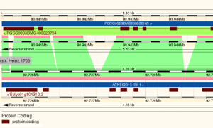 Ensembl Genomes 29 - explore nonvertebrate genomes
